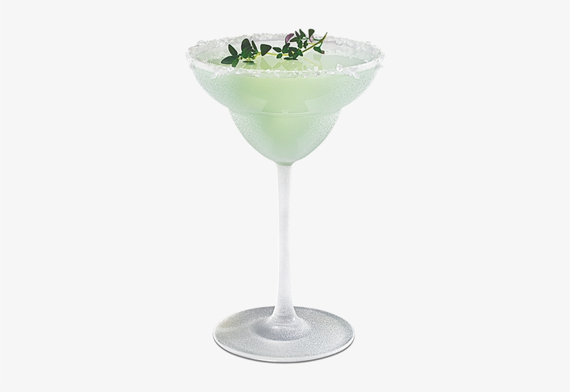 0068 Cactus-margherita Png - Pizza Margherita, transparent png download