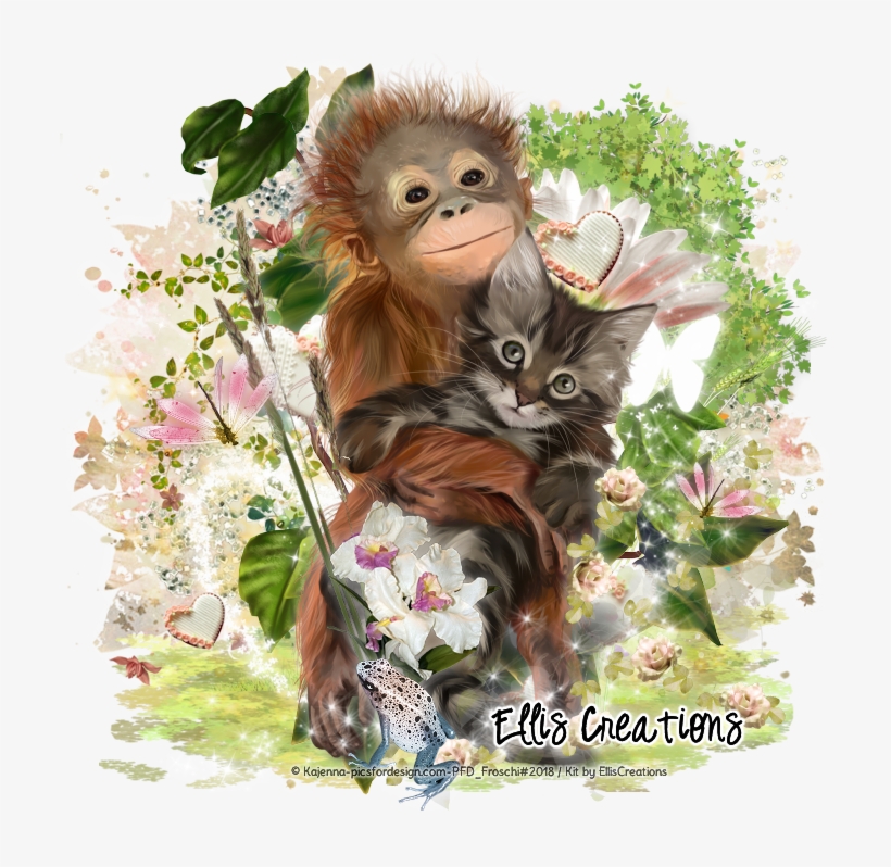 Www - Timefortutorials - De - Orangutan, transparent png download
