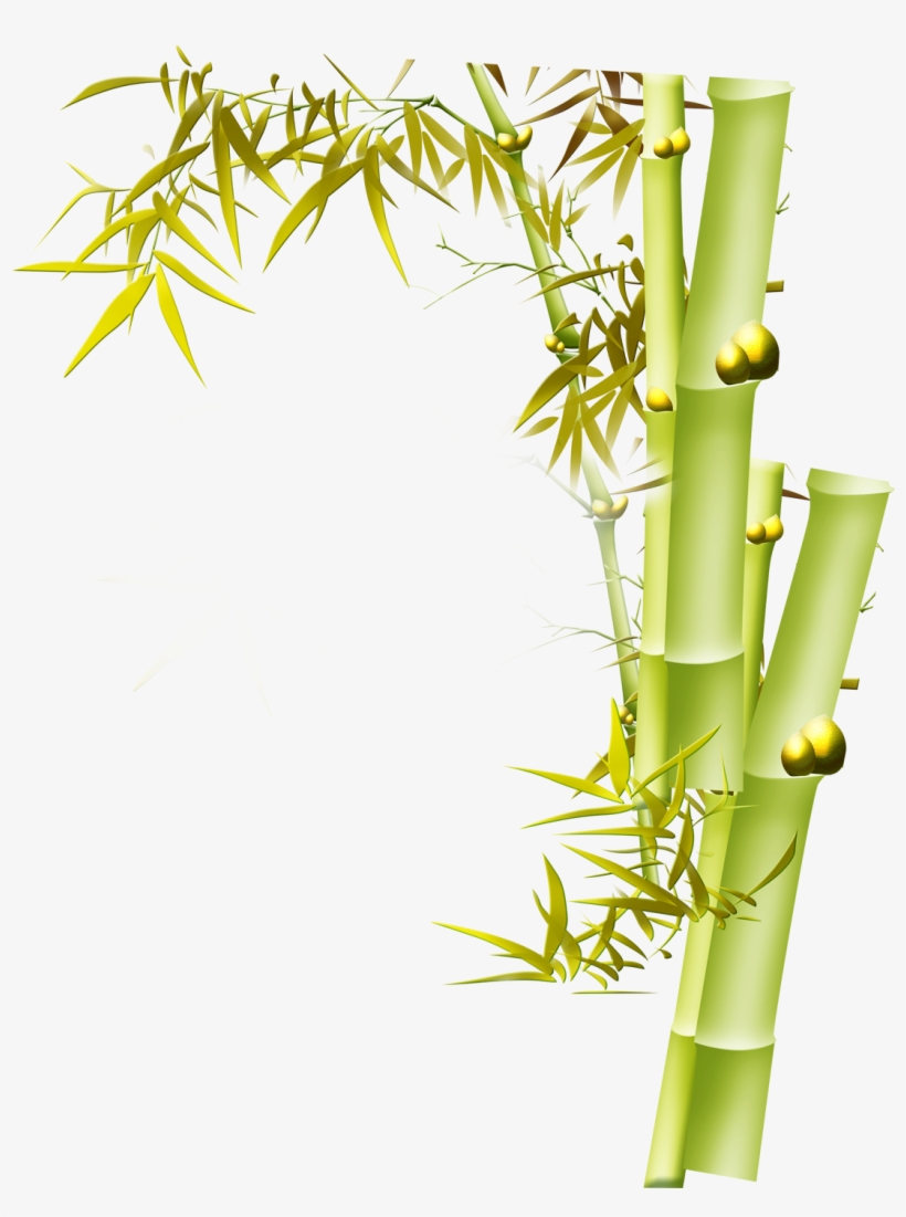 Banner Royalty Free Graphic Design Bird And Flower - Bamboo Flower Png, transparent png download
