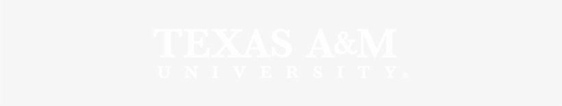 Tam Wordmark, White - Transparent Background Instagram White Png, transparent png download