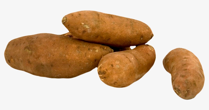 Fresh Sweet Potato Png Image, transparent png download