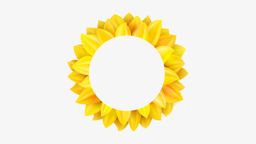 6 - Sunflower Png, transparent png download