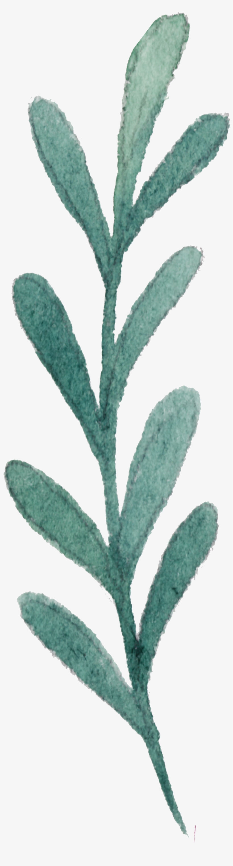 Blue Branches Free Buckle Transparent - Watercolor Painting, transparent png download