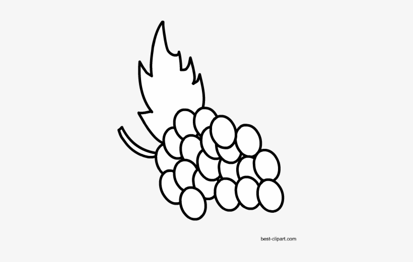 Free Grapes Clip Art - Clip Art, transparent png download