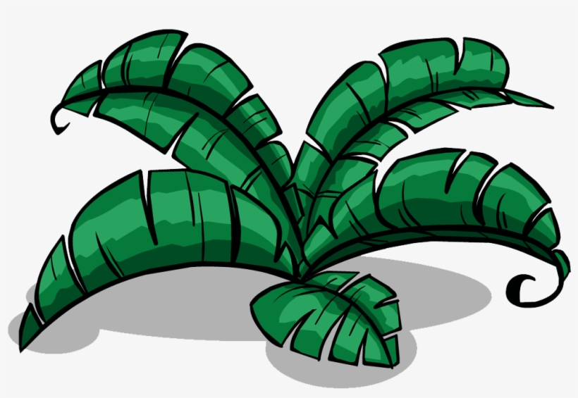 Jungle Png Pic - Jungle Png, transparent png download