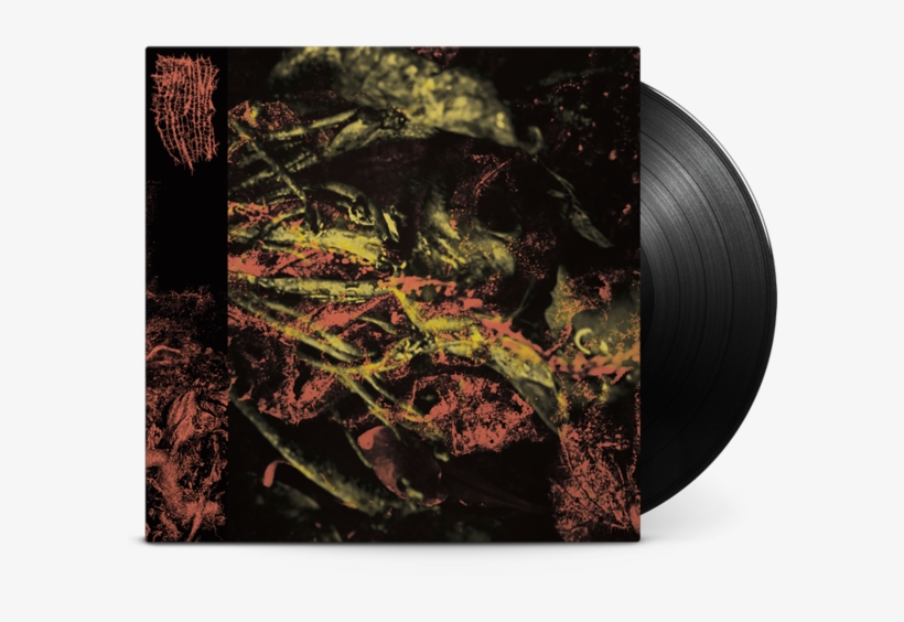 Permanent Destitution Vinyl Lp - Hissing Permanent Destitution, transparent png download