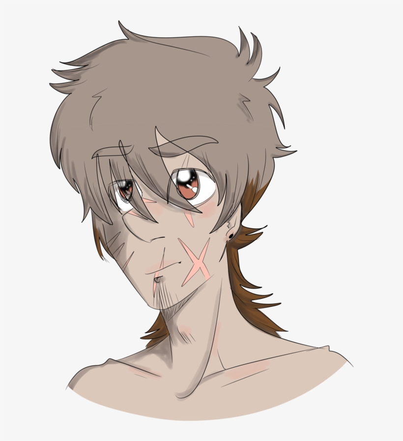 Everglades Drawing Zombie Apocalypse - Drawing, transparent png download