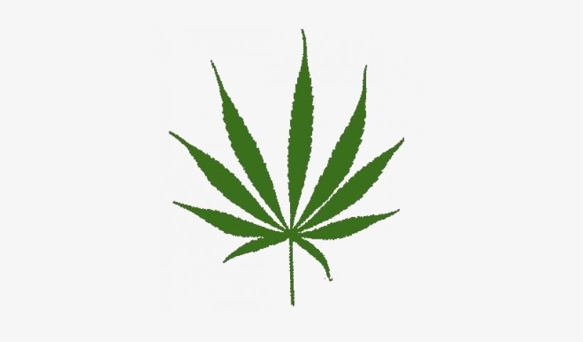 Buy Sativa Online - Cannabis Sativa Leaf, transparent png download