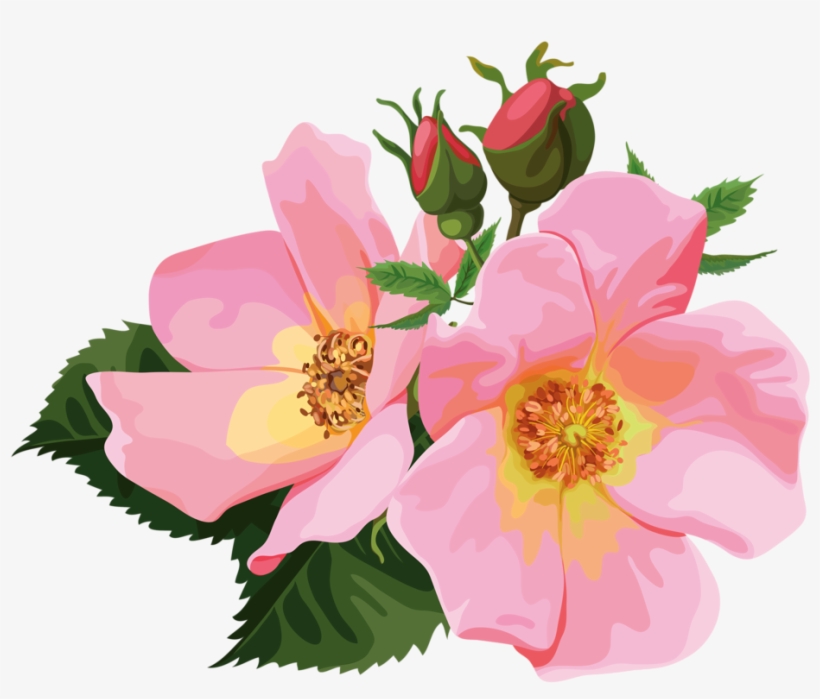 Clipart Flower Mason Jar - Bouquet Clipart Transparent, transparent png download