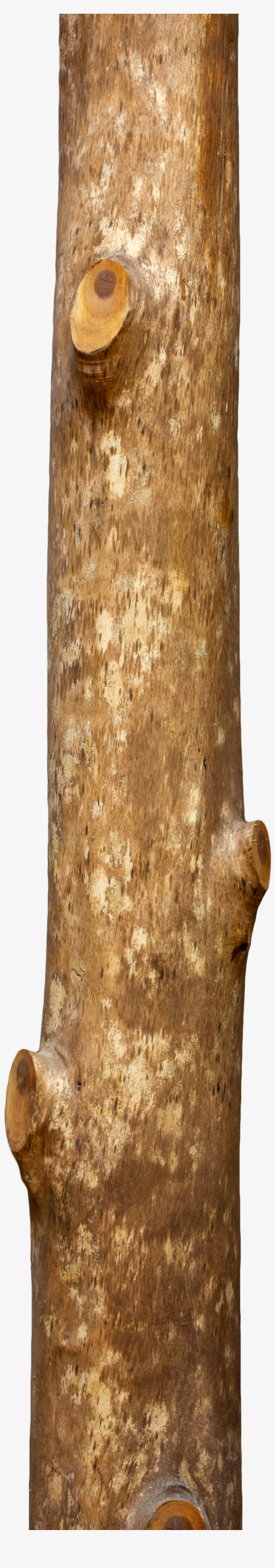 Honate Sabi Maruta - Tree Wood Hd Png, transparent png download