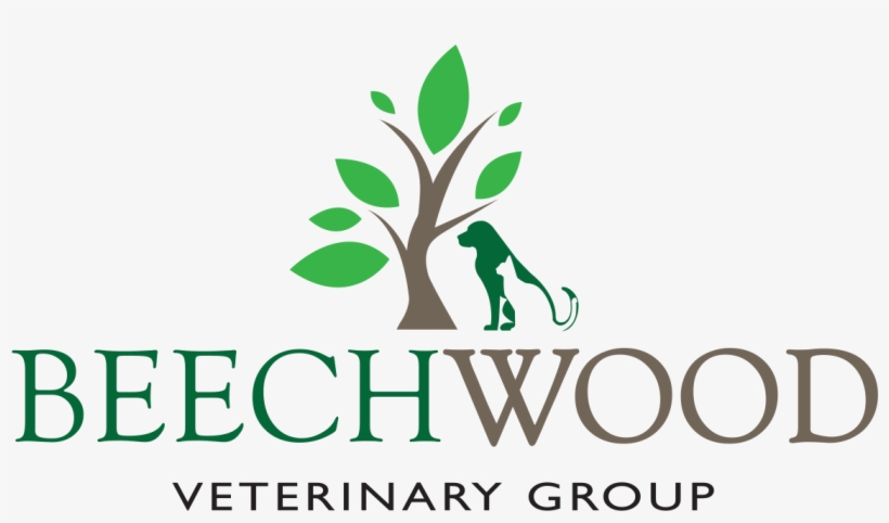 Beechwood Veterinary Group - Beechwood Veterinary Group Ltd, transparent png download