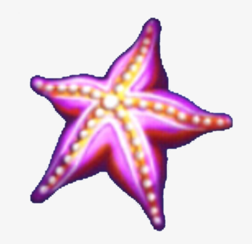 Starfish, transparent png download