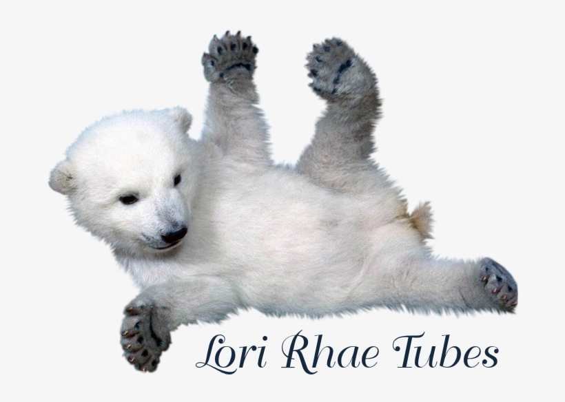 We Remind You That These Tubes Were Made For Educational - Pbp Custom Cute Baby Polar Bear 20x30 Inch Twin Sides, transparent png download