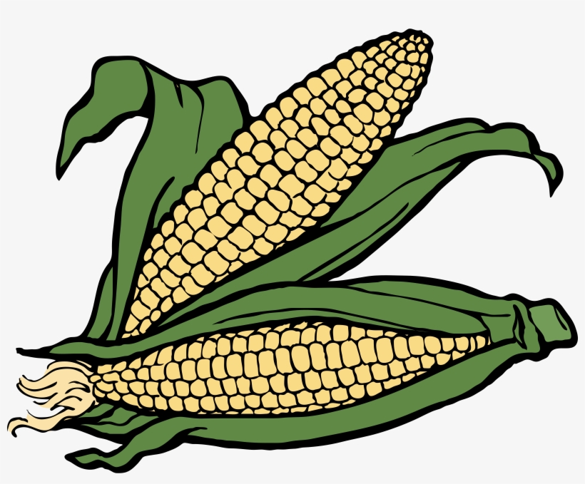 Corn Png, transparent png download