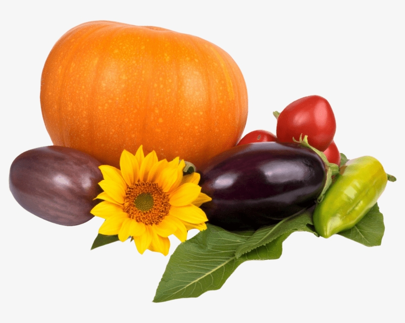 Free Png Pumpkin Tomato Pepper Eggplant Png Images - Перец Баклажаны Помидоры Png, transparent png download