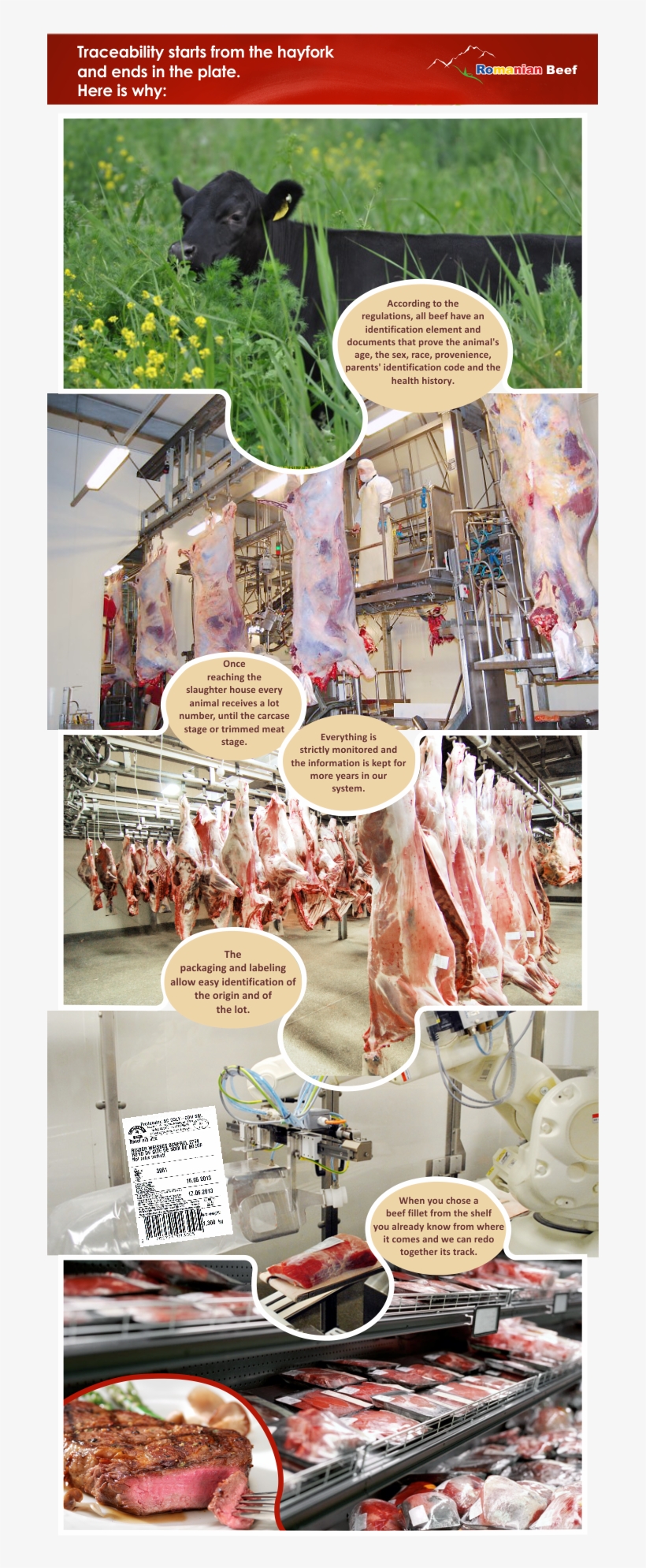 Infografic En - Meat, transparent png download