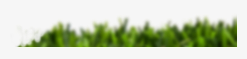 Leisure - Grass, transparent png download