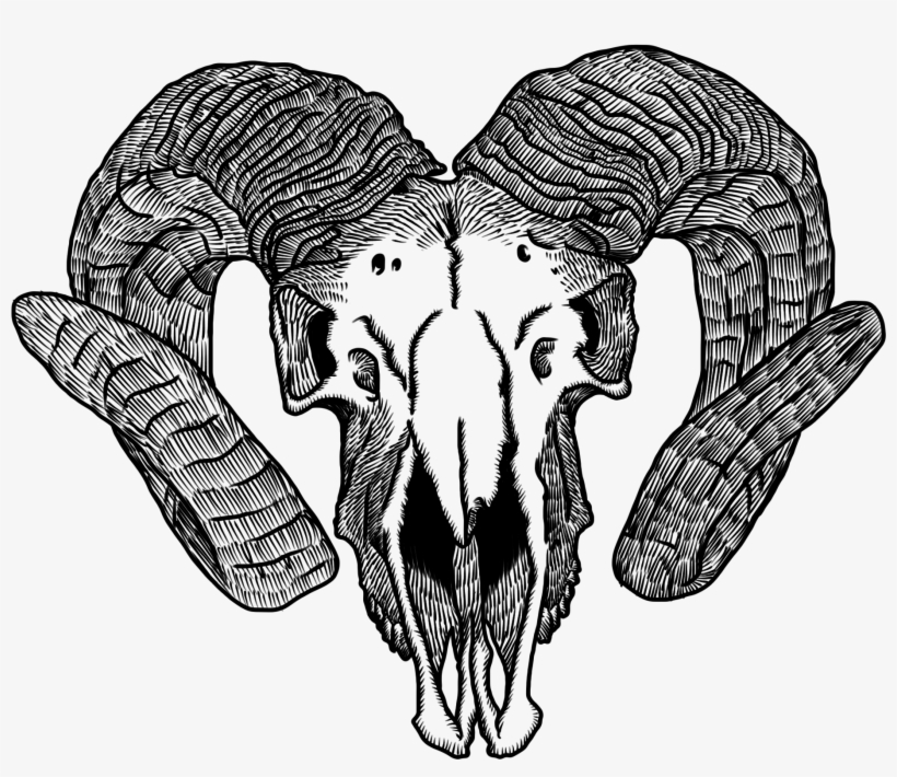 Bikini Clipart Coconut - Goat Skull Transparent, transparent png download