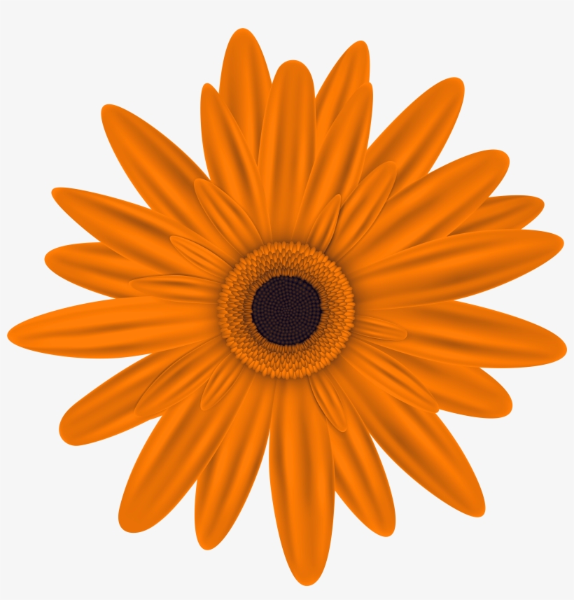 Yellow Rose Clipart Png Imageu200b - Mirror, transparent png download