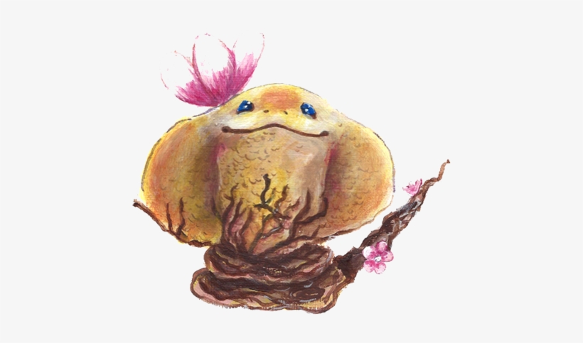 K - Pr - Tortoise, transparent png download