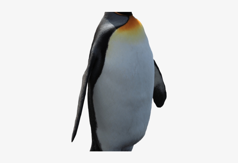 Original - Penguin, transparent png download