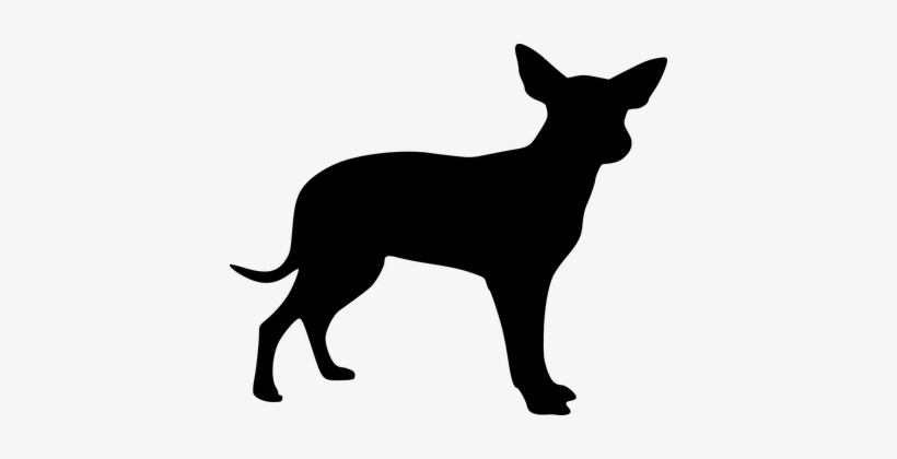 Dog Puppy Animal Black Silhouette Dog Dog - Cachorro Png Desenho Preto, transparent png download