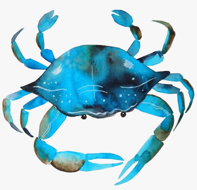 Blue Crab Png - Watercolor Crab, transparent png download