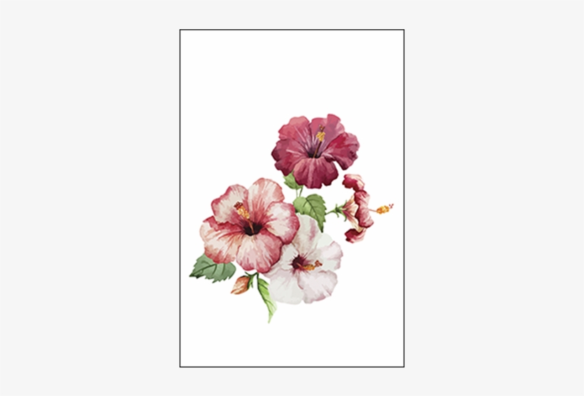 Hibiscus Flowers - Hibiscus Painting, transparent png download