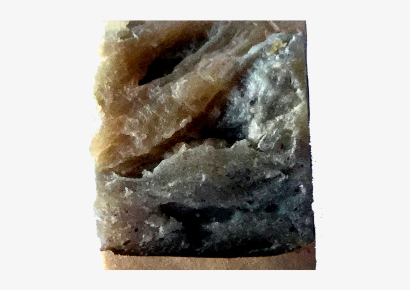 Chaga/blueberry Soap - Oily Fish, transparent png download