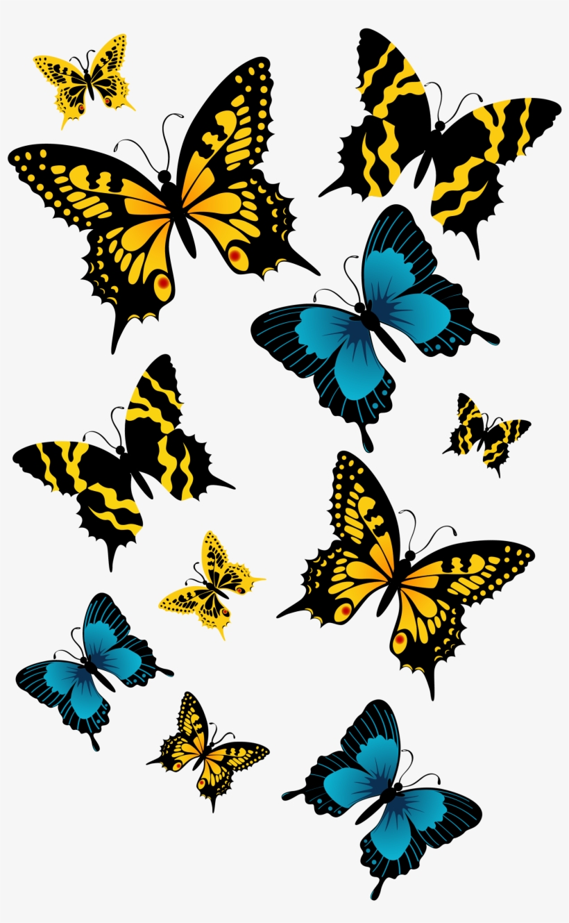 Beautiful Butterfly Png File, transparent png download