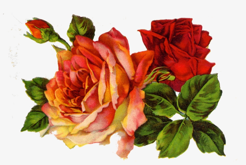 Decoupage Roses On - Red Roses Vintage Png, transparent png download