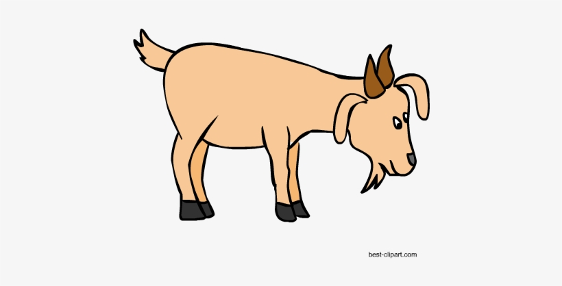 Light Brown Goat Clip Art - Clip Art, transparent png download