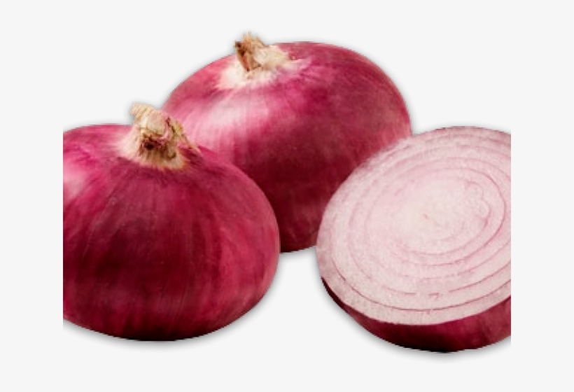 Onion, transparent png download