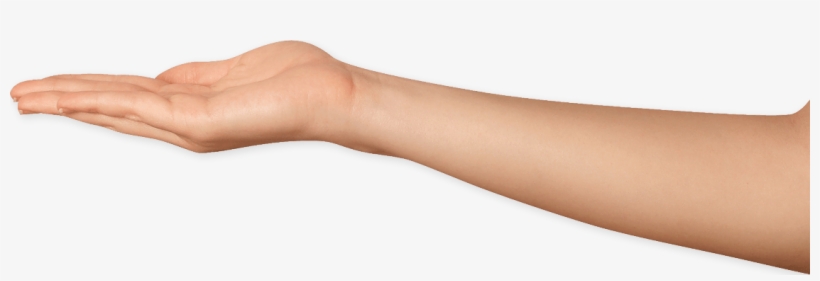 Home - Arm Png Transparent, transparent png download