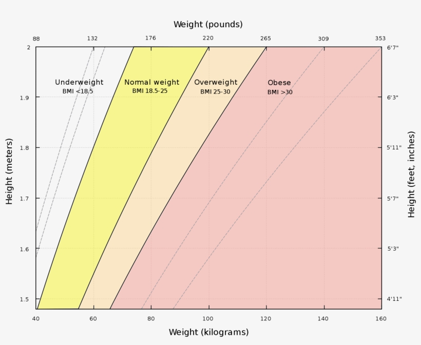 Bmi As A Function Of Height Graph, transparent png download