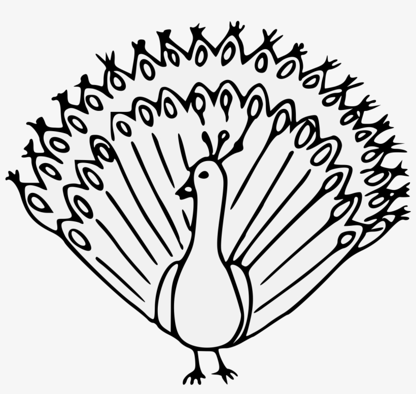 880 Koleksi Gambar Burung Cendrawasih Kartun Hitam Putih Terbaik