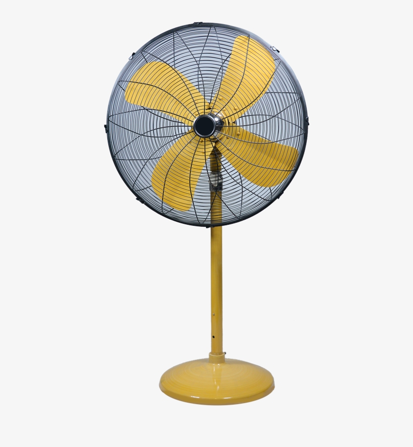 Decorative Pedestal Fan Photos House Interior And Mechanical Fan