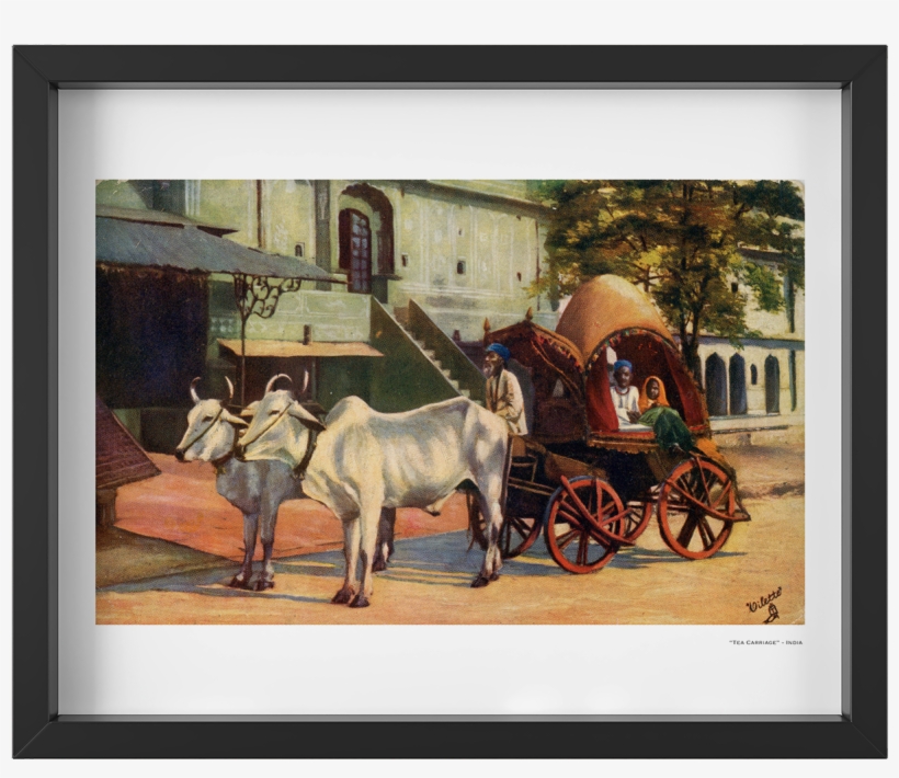 Vintage 1900's Ox Drawn Tea Carriage India Art Print - Alte Postkarte - Jeypore, Indien, transparent png download