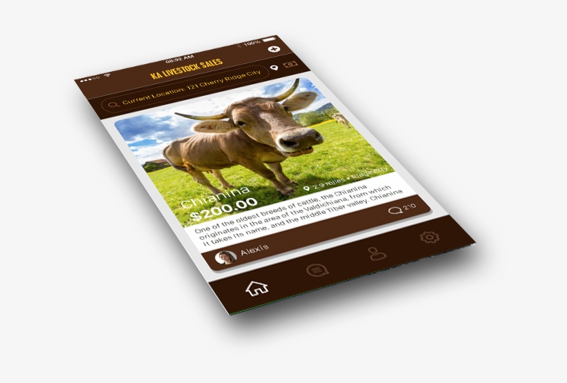 Business, transparent png download