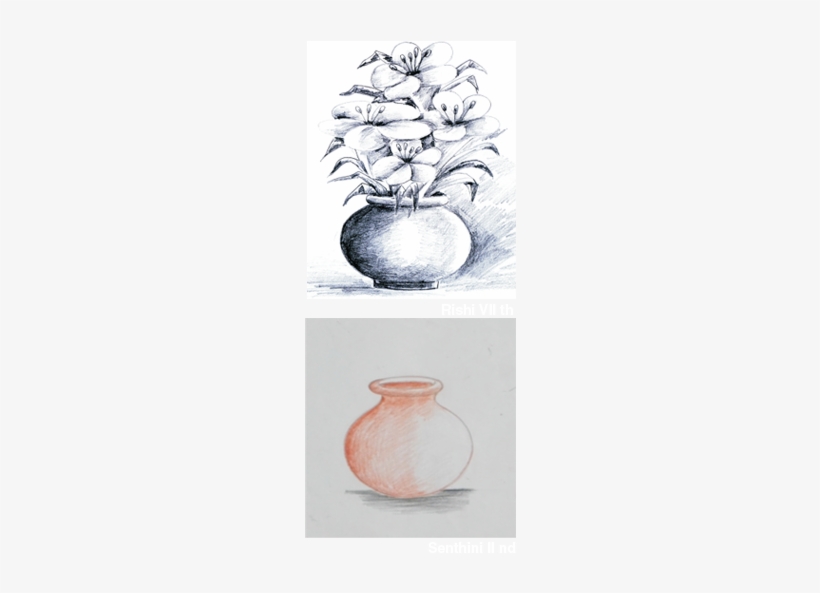 We Start Drawing & Sketching With More Than 600 Pictures - Drawing, transparent png download