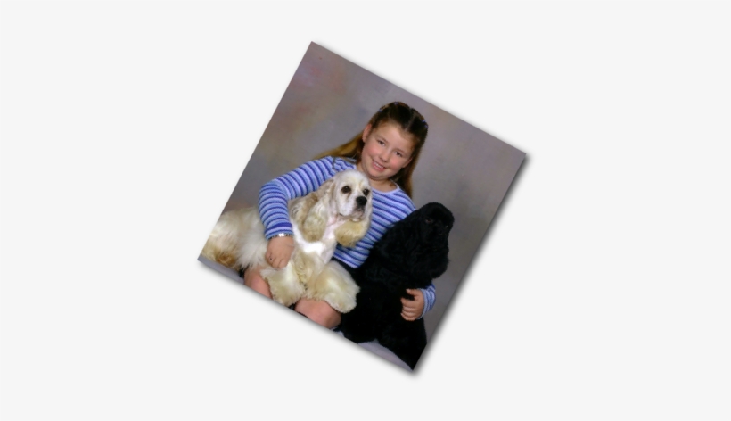 Velankanni Madha,, Vailankanni Matha, Shrine Tv - Labradoodle, transparent png download