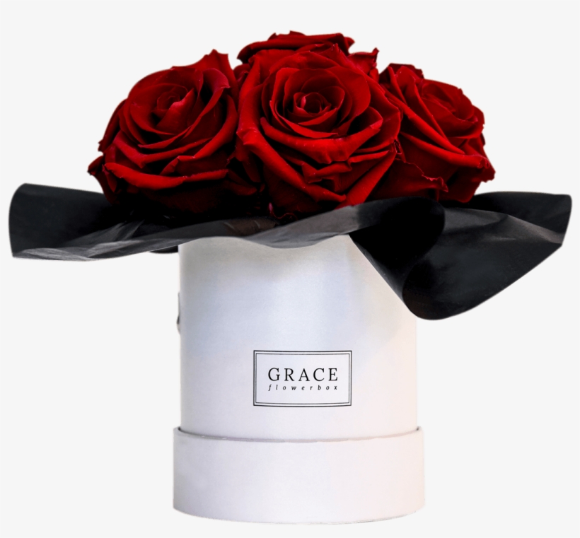 Red, transparent png download