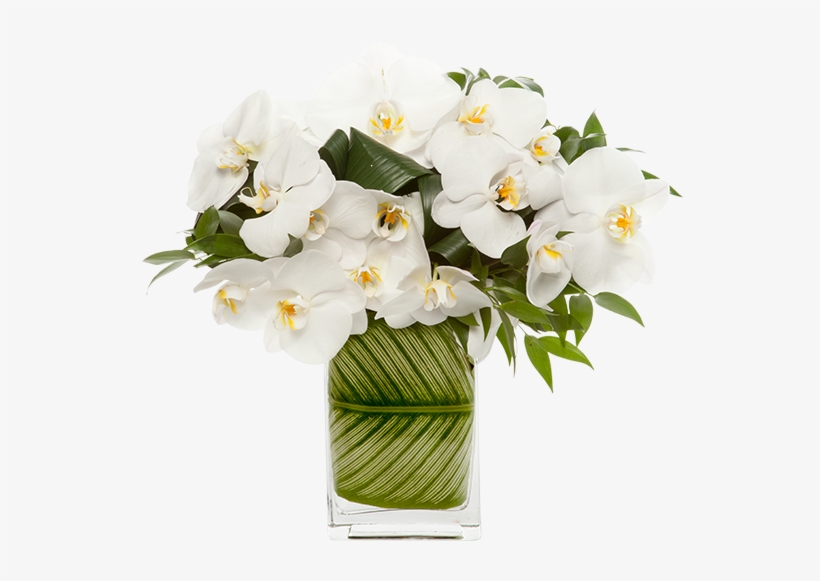 Modern Pure Arrangement - Bouquet, transparent png download