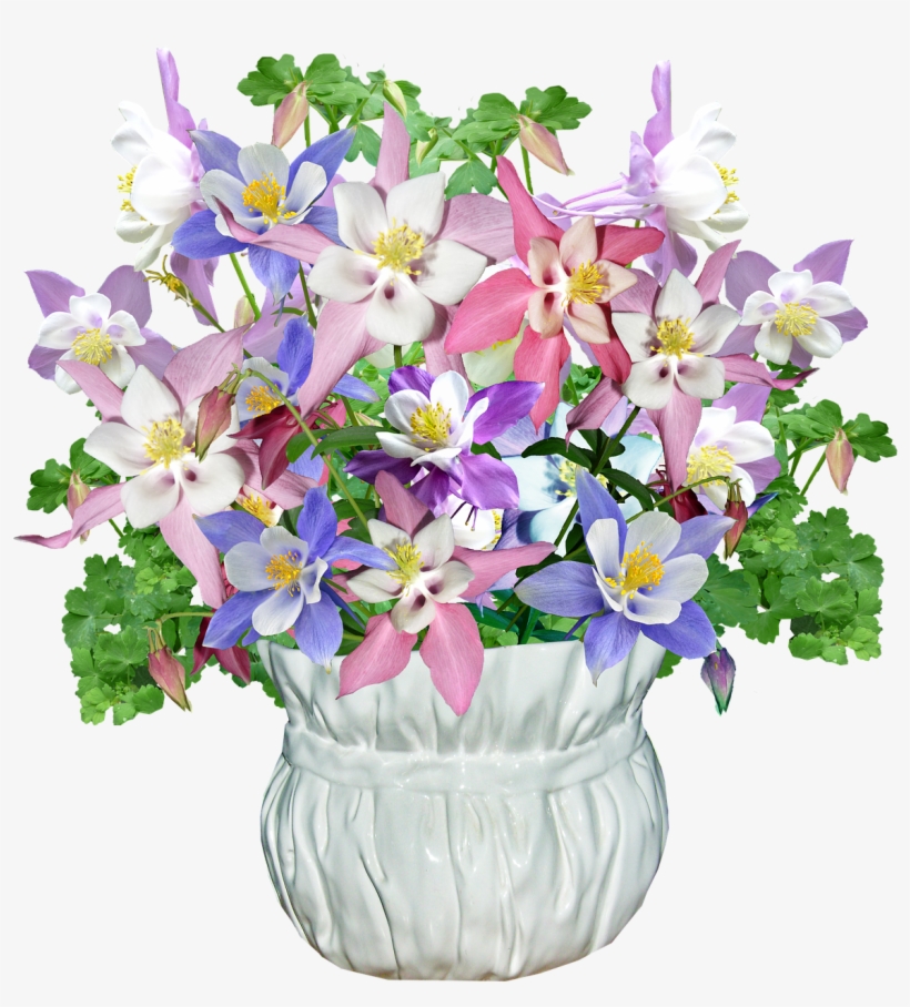Pictures, Free Photos, Free Images - Spring, transparent png download
