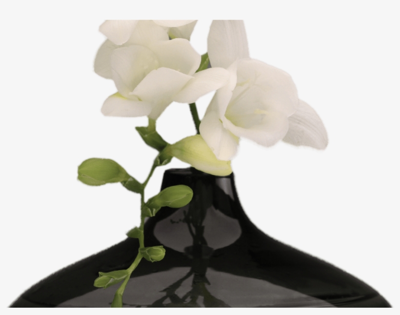 Png Hd Vase Of Flowers Transparent Hd Vase Of Flowerspng - Vase W Flowers Png, transparent png download
