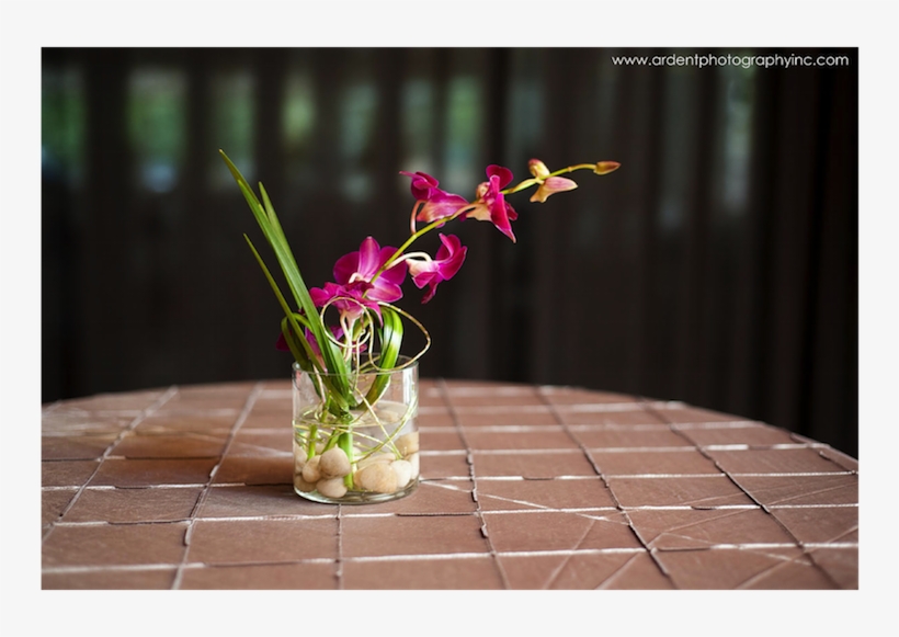 Defoire Photography Stunning Cocktail Table Flower - Anthurium, transparent png download