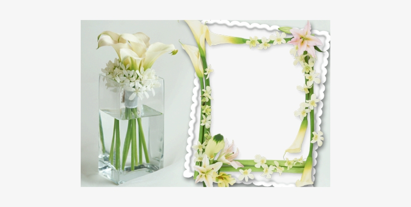 Photo Frame - Delicate Flowers - Vase With Water And Flowers, transparent png download