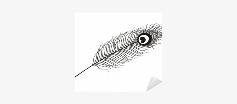 Sketch, transparent png download