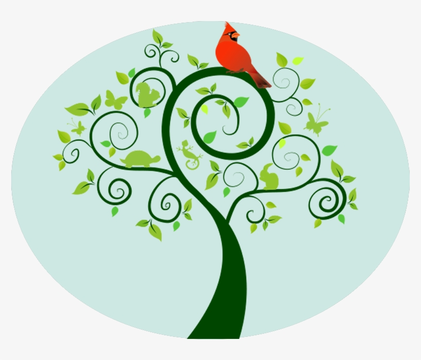 Nursery School - Hıdırellez, transparent png download