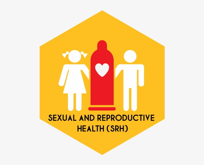 Srh - Education, transparent png download